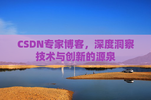 CSDN专家博客，深度洞察技术与创新的源泉