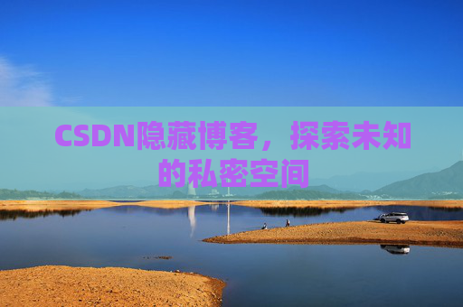 CSDN隐藏博客，探索未知的私密空间
